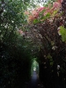 Walk Through